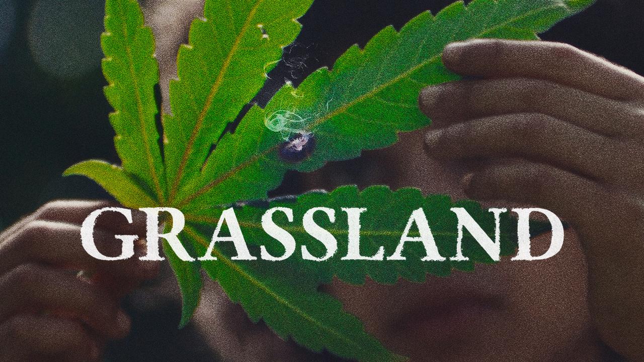 شاهد فيلم Grassland 2024 مترجم