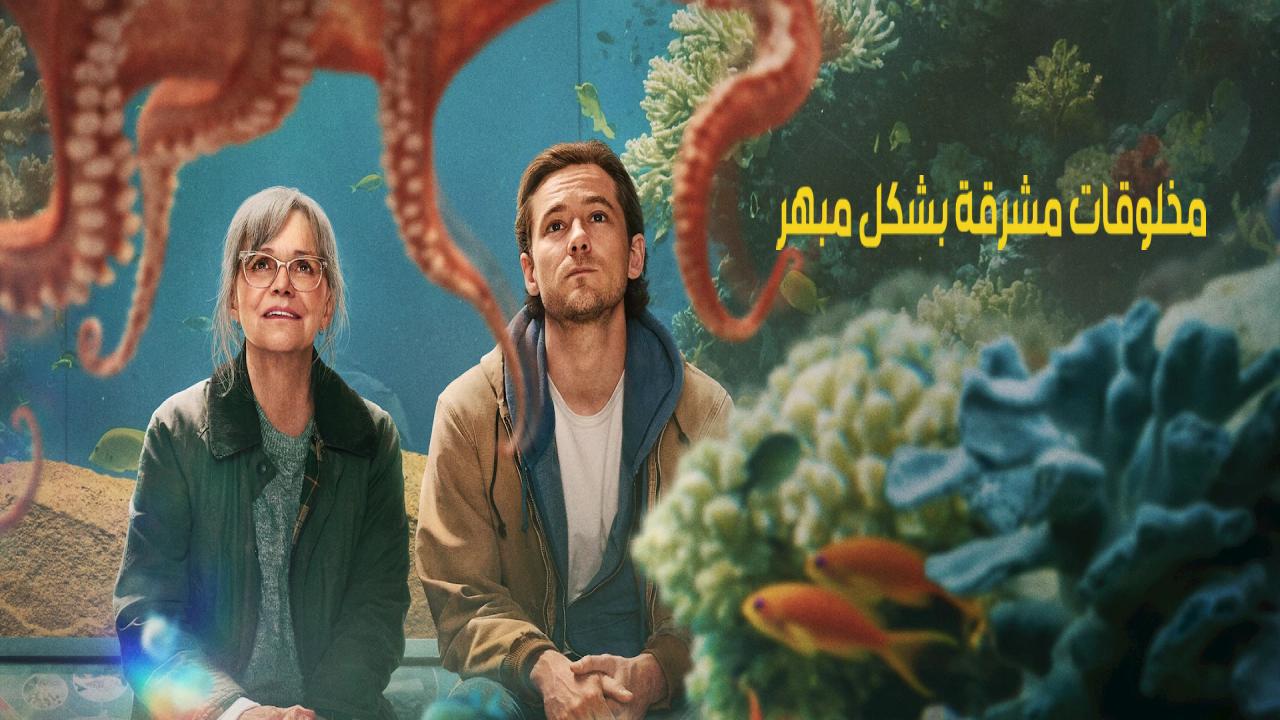 شاهد فيلم Remarkably Bright Creatures 2026 مترجم