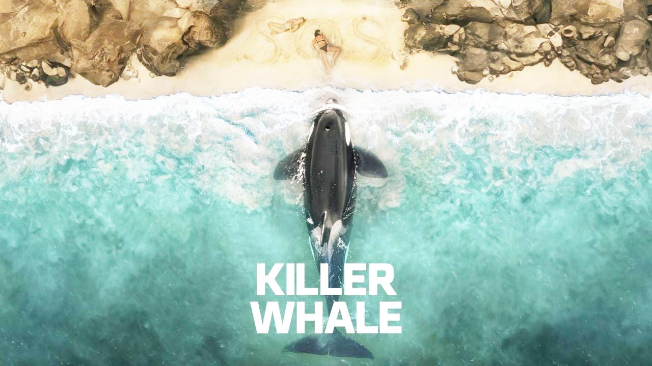 شاهد فيلم Killer Whale 2026 مترجم