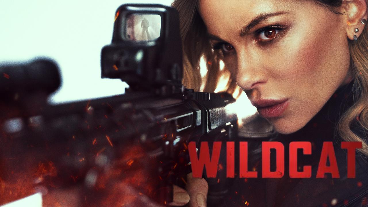 شاهد فيلم Wildcat 2025 مترجم
